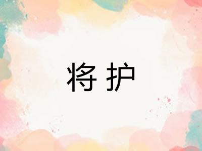 将护