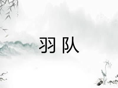 羽队