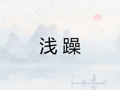 浅躁