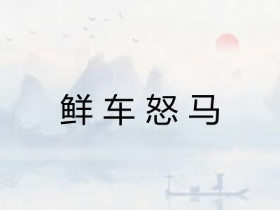 鲜车怒马