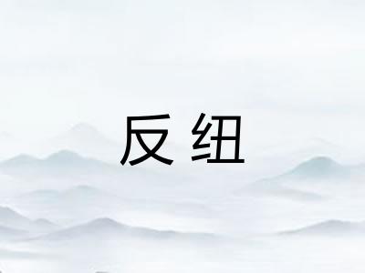 反纽