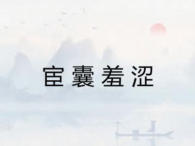 宦囊羞涩