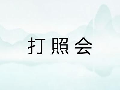 打照会