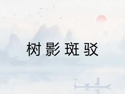 树影斑驳